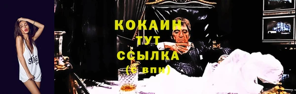 тгк Вязьма