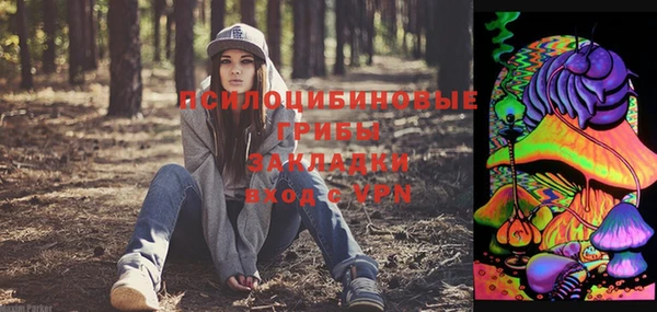 прущая мука Вяземский