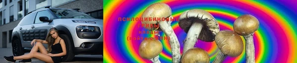 тгк Вязьма