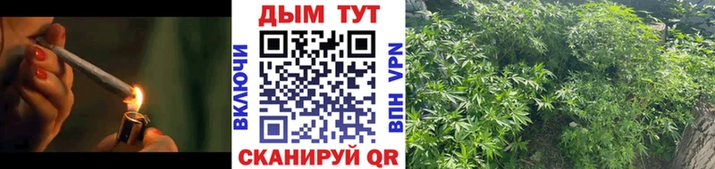Шишки марихуана гибрид  Змеиногорск 